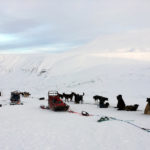 Dernier arrêt avant le pôle Nord : quatre jours de voyage au Svalbard
