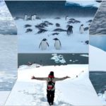 Dix jours de croisière en Antarctique : des manchots, des icebergs et la menace du Covid