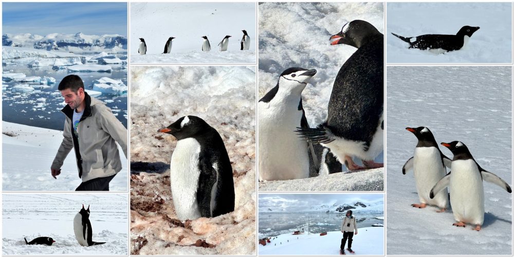 Retour en Antarctique : une croisière de dix jours dans le plus bel endroit du monde