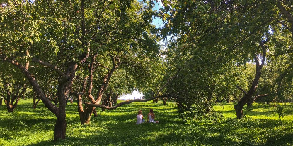 En rouge et vert : les parcs et domaines de Moscou