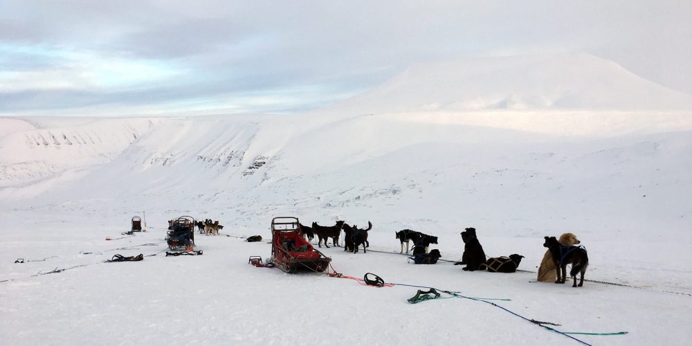 Dernier arrêt avant le pôle Nord : quatre jours de voyage au Svalbard