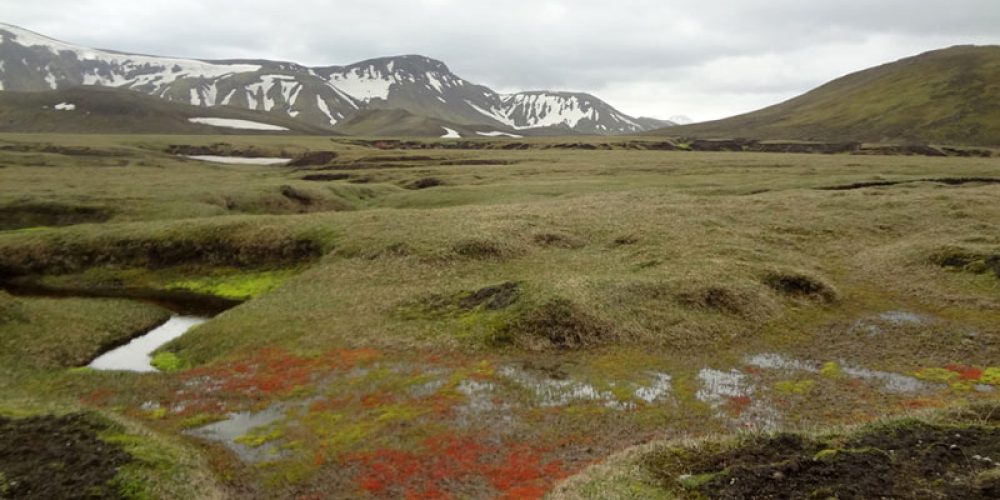 Laugavegur, jour 2 : De Hrafntinnusker à Álftavatn