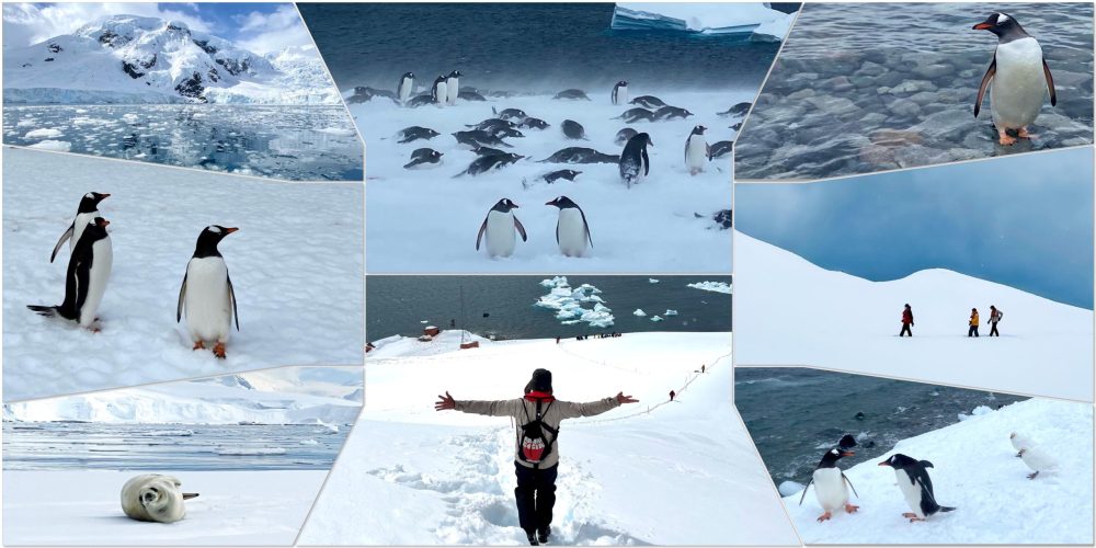 Dix jours de croisière en Antarctique : des manchots, des icebergs et la menace du Covid