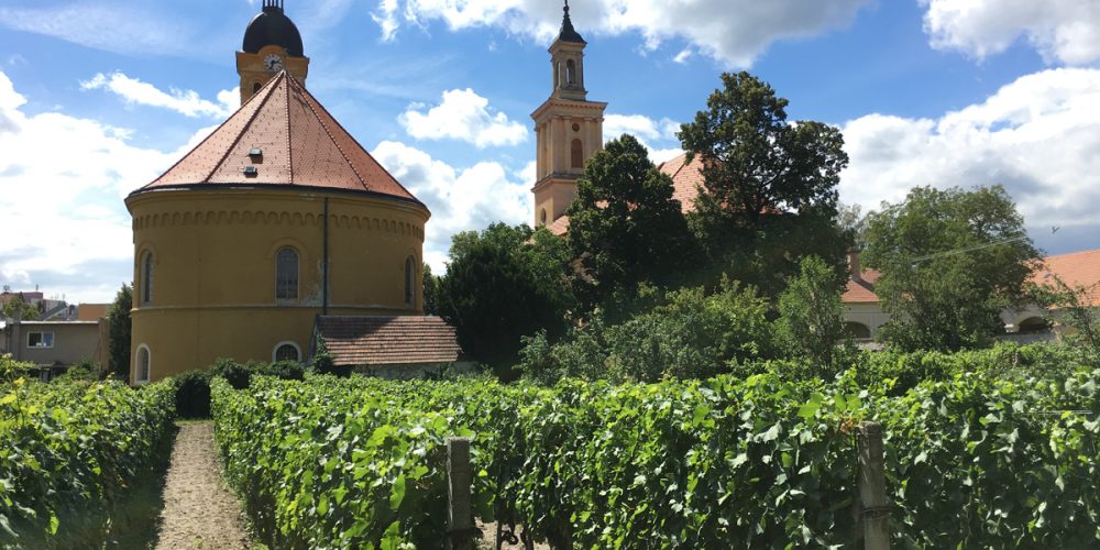 Une journée à Pezinok et Modra