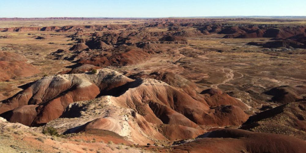 Jour 6 : Petrified Forest et Albuquerque