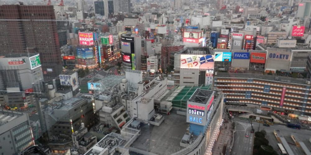 Jour 15 : Nakano, Shinjuku et retour en France