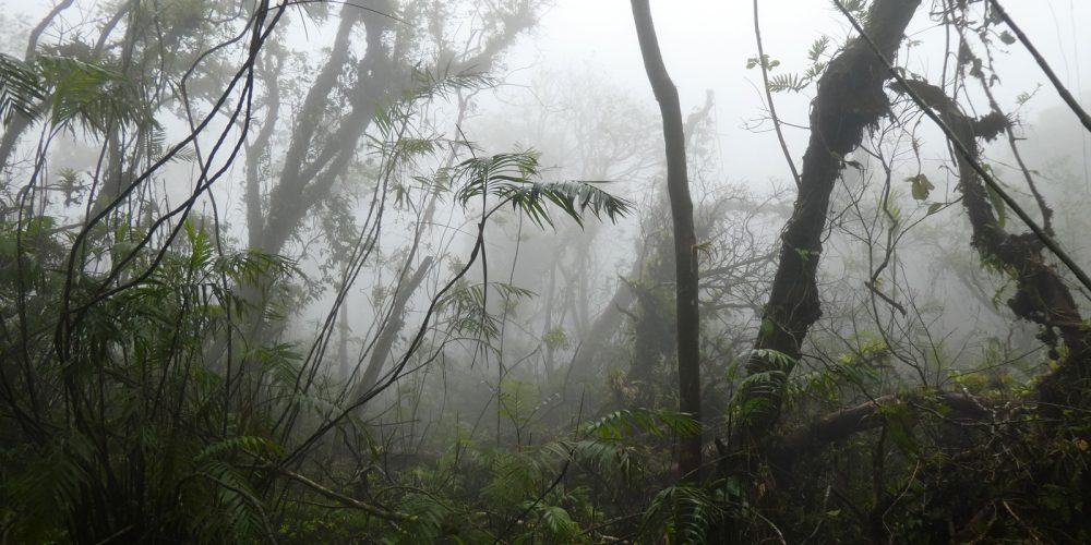 Nicaragua : Au sommet du volcan Monbacho, randonnée dans les brumes d&rsquo;un monde perdu